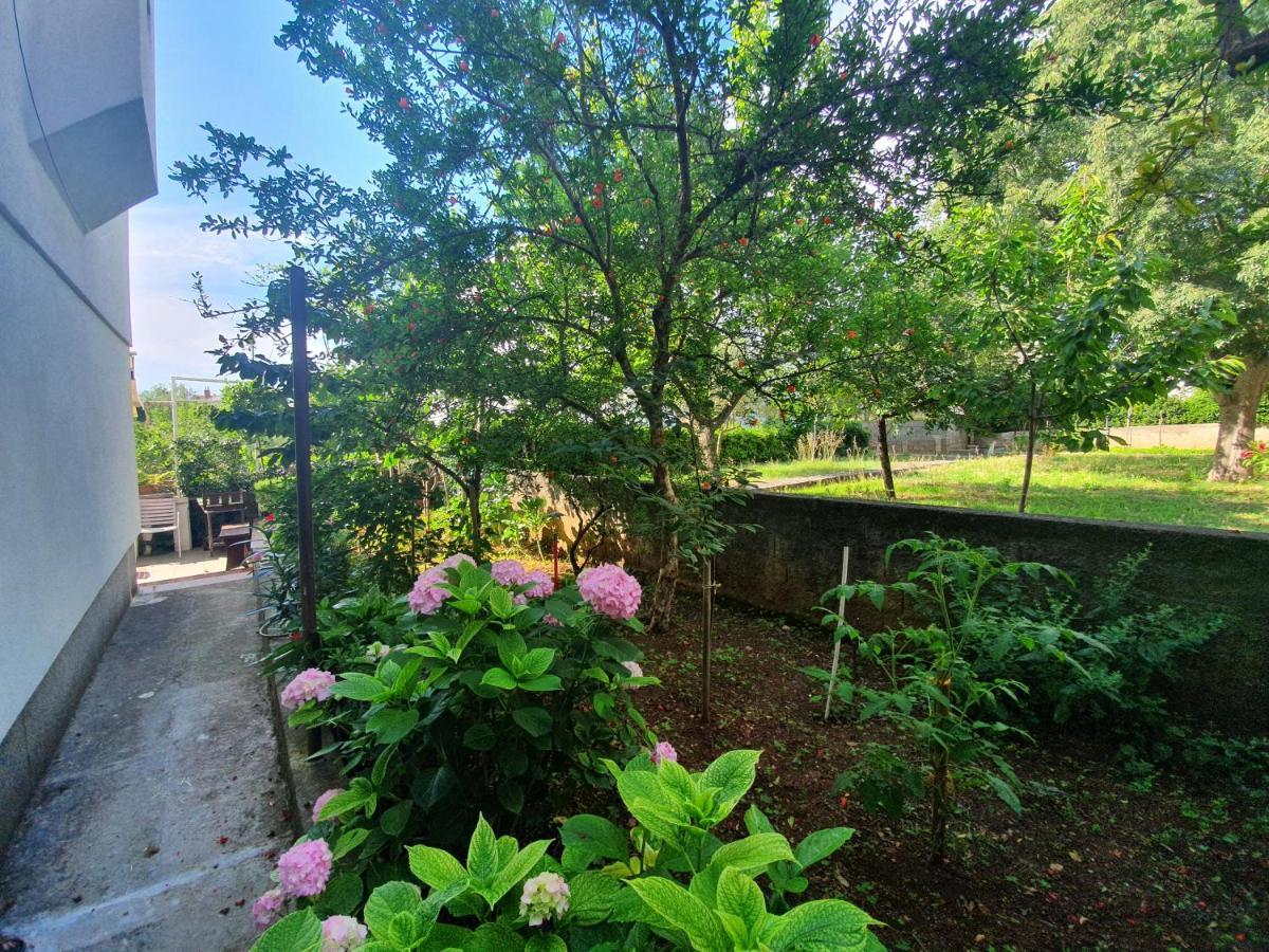 Peaceful Apartment 30 Meters From Sea Zadar Exterior photo